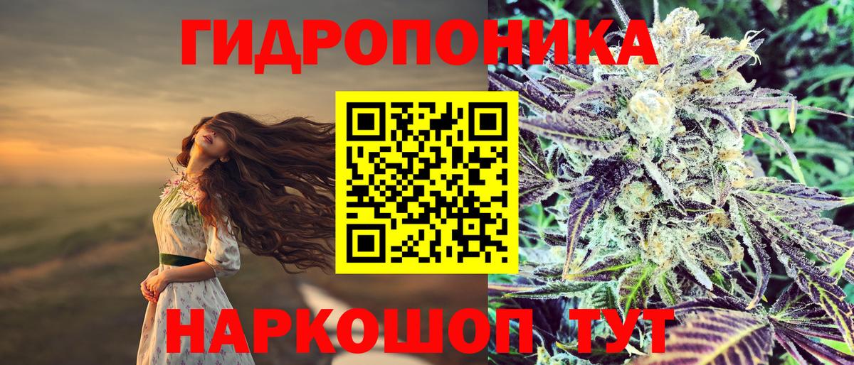 Каннабис сатива Куйбышев
